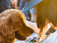 Amazon Australia invites dogs into the workspace