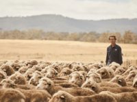 ‘We need to work with nature’: A wool farmer’s take on sustainable fashion