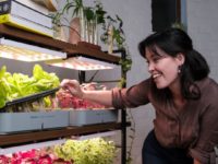 How Invertigro, Urban Plant Growers plan to shorten the food supply chain