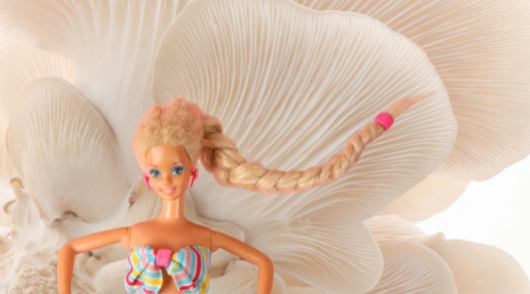 Barbie eco-protest embarasses media, Mattel