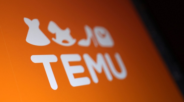 Temu logo is seen in this illustration taken